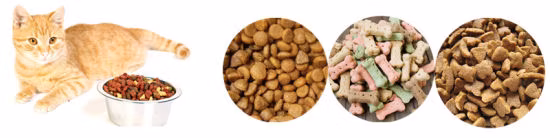 Manual Pellet Machine Fish Feed Floating Pet Fish Food Machinery Production Line