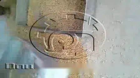 Floating Fish Feed Mill Machine Extruder Machine in Malaysia