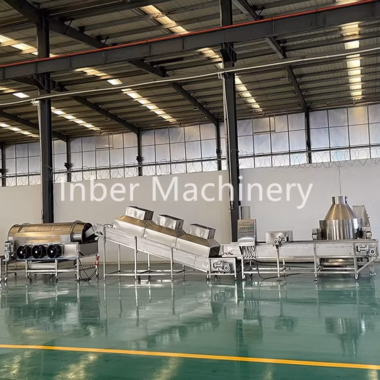 Industrial Automatic Popcorn Machine Commercial Large Capacity Popcorn Production Line Price