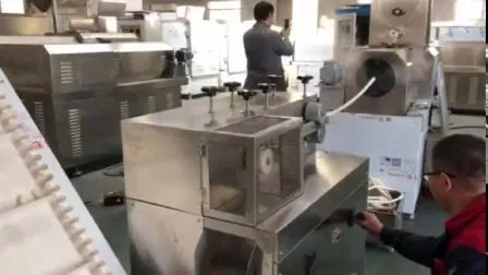 Very Nourishing Puffed Bread Crumbs Extruder Production Line 