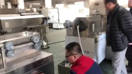 Hot Sale High Capacity Bread Crumb Extruder Production Line 