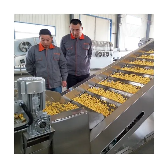 Automatic Popcorn Production Line Commercial Popcorn Processing Line Gas Caramel Popcorn Making Line for Supply 