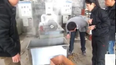 Soya Chunks Meat Analogue Tvp Tsp Making Machine Textured Nuggets Protein Production Line 