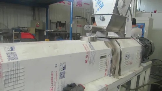 Automatic Double Screw Extruder Panko Bread Crumbs Production Line 